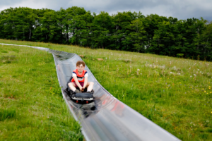 Sommerrodelbahn in st. Andreasberg. Kund rodelt die Rodelbahn hinunter auf einer grünen Wiese mit Bäumen im Hintergrund