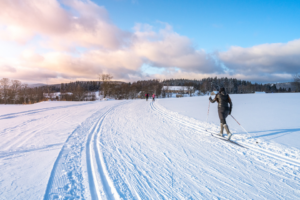 Langlaufoipen in St. Andreasberg. Eine Person läuft im Schnee.