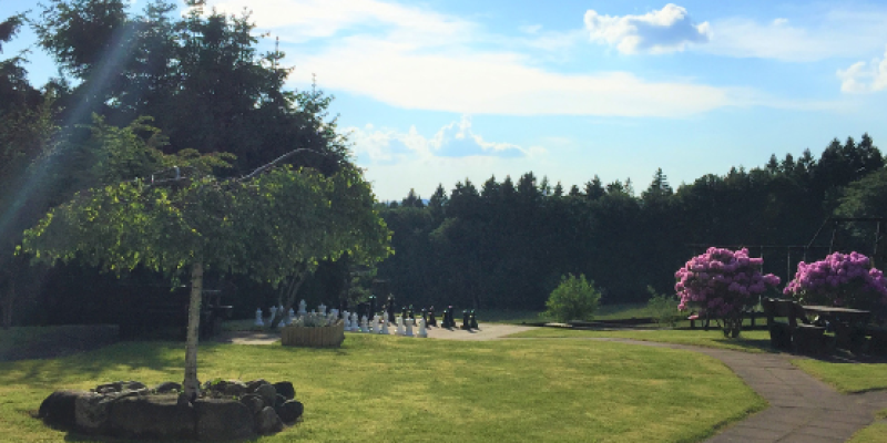 Terasse aus der Wohnung Fingerhut. Grüne Wiese, ein Baum und strahlend blauer Himmel